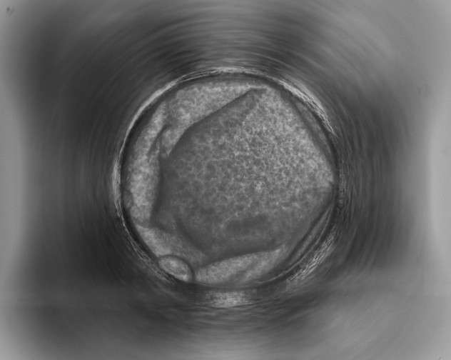 X0000093470798200711091607