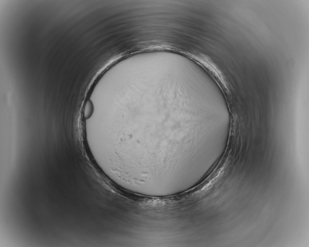 X0000093470806200711091607