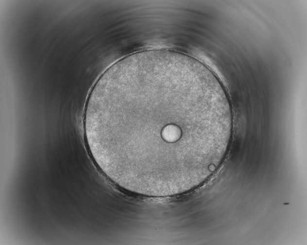 X0000093470810200711091606