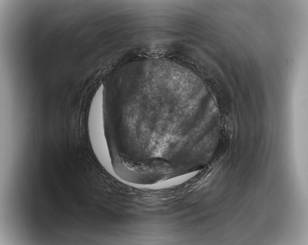 X0000093470818200711091606