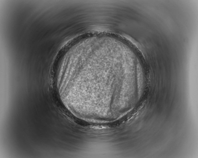 X0000093470823200711091606