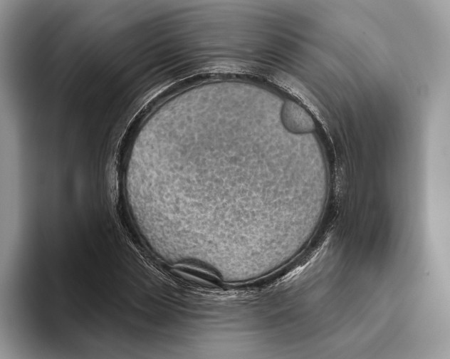 X0000093470829200711091606