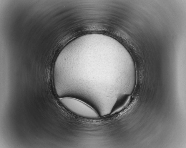 X0000093470833200711091606