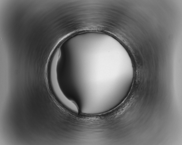 X0000093470838200711091606
