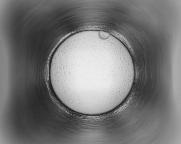 X0000093470844200711091606