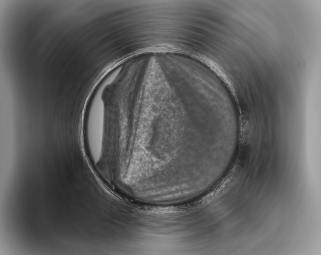 X0000093470845200711091606