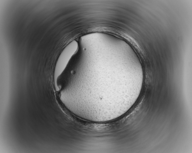 X0000093470849200711091606