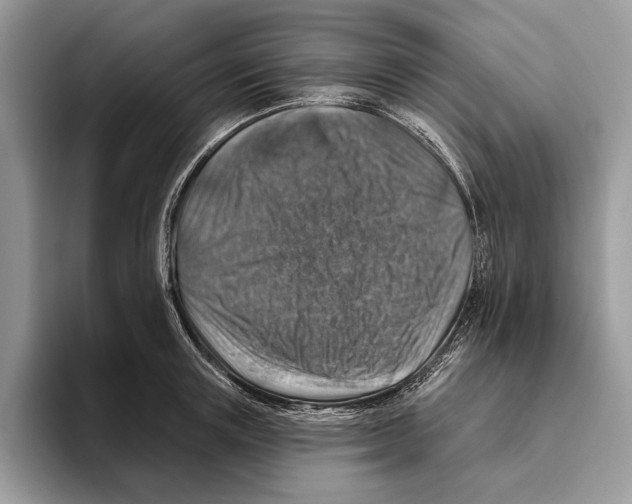 X0000093470851200711091606
