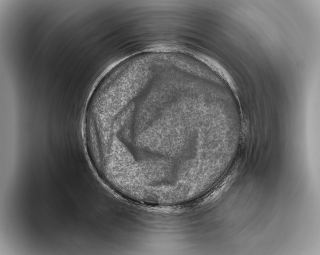 X0000093470855200711091606