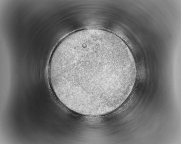 X0000093470856200711091606