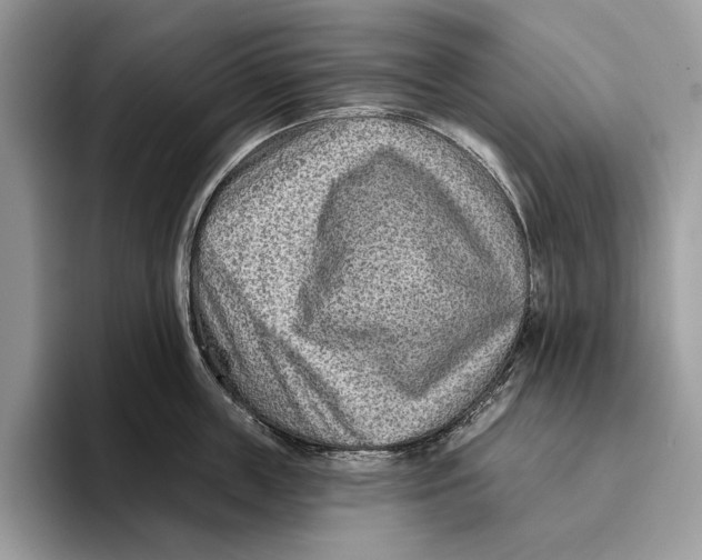 X0000093470859200711091606