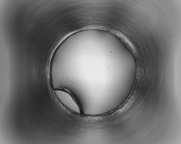 X0000093470860200711091606