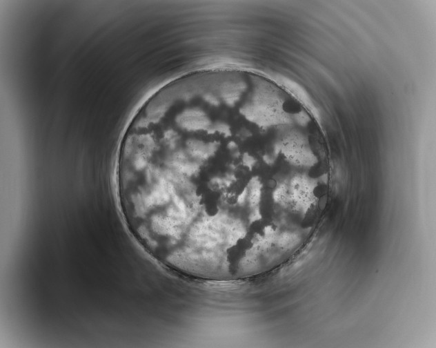 X0000093470863200711091606