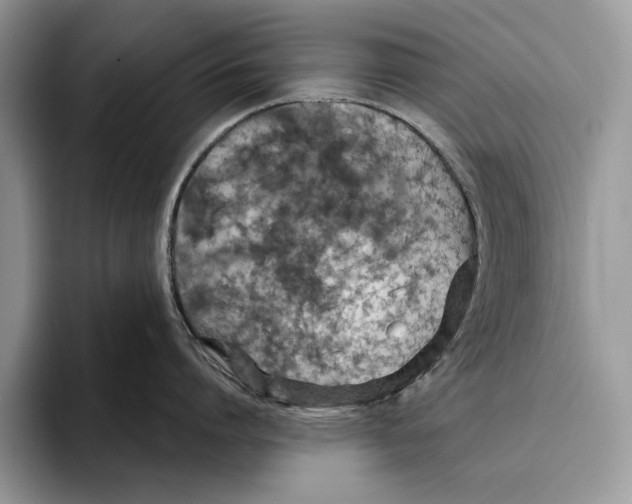 X0000093470864200711091606