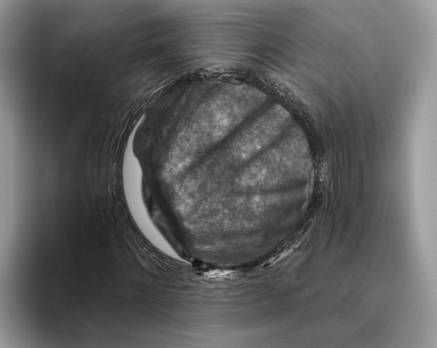 X0000093470868200711091606