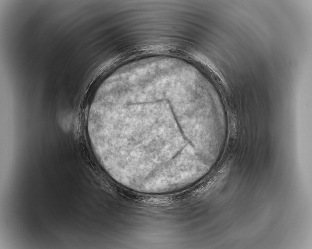 X0000093470874200711091606
