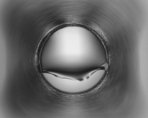 X0000093470876200711091606