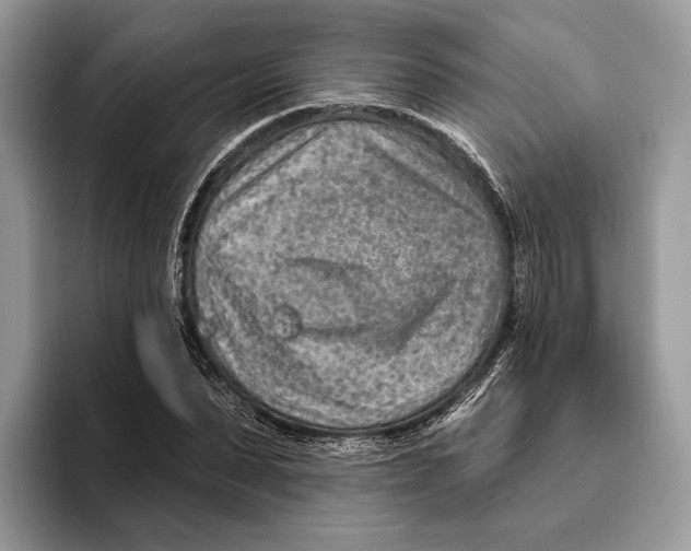 X0000093470879200711091606