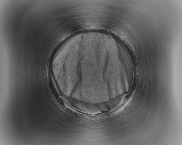 X0000093470881200711091606
