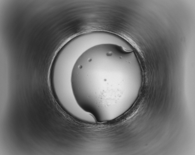 X0000093470885200711091606