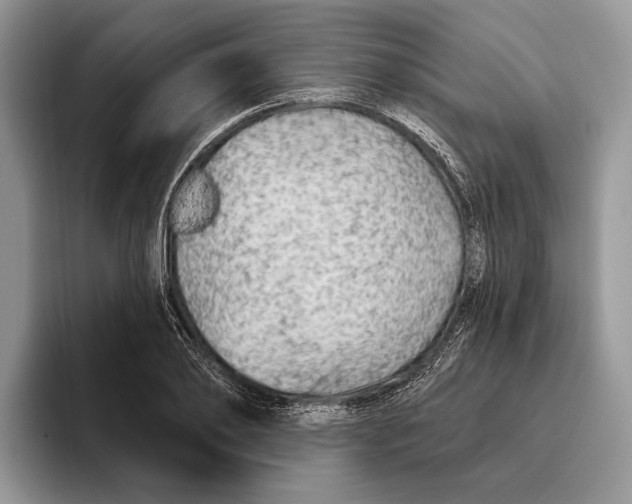 X0000093470886200711091606