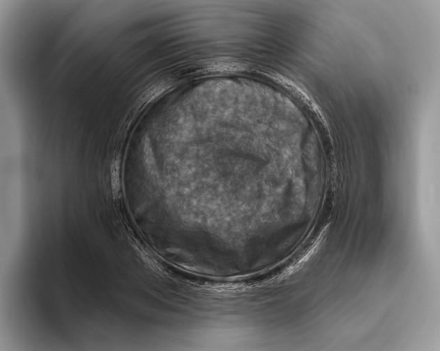 X0000093470889200711091606
