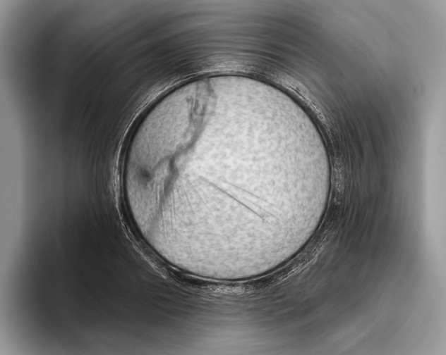 X0000093470890200711091606