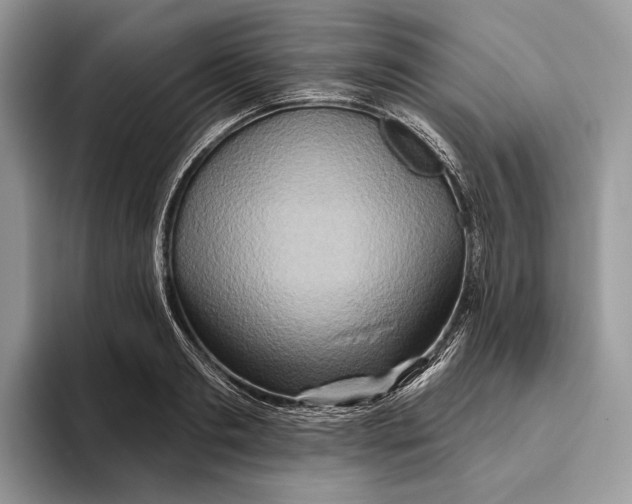 X0000093470893200711091606