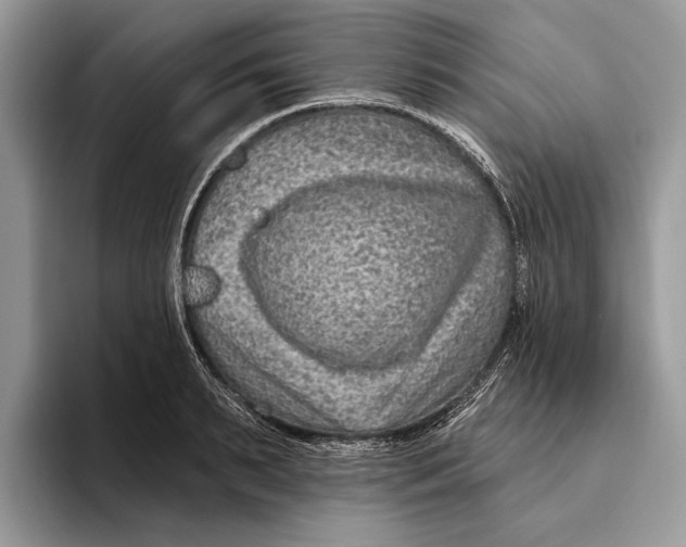 X0000093470895200711091605