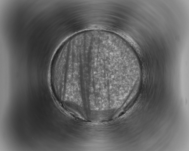 X0000093470896200711091605