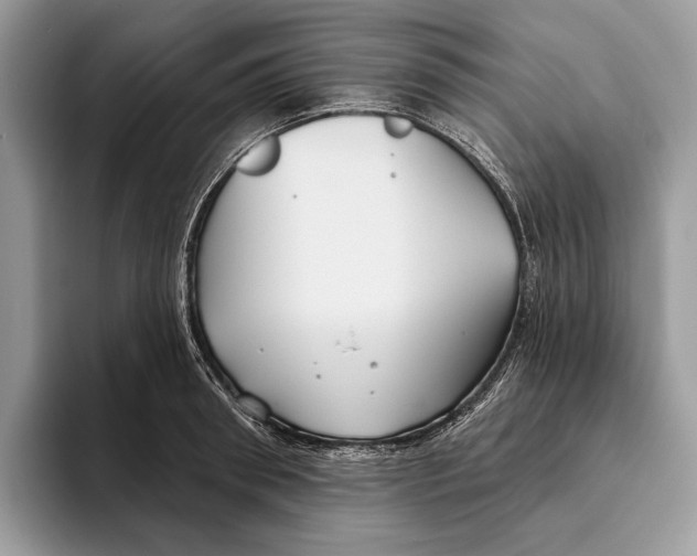 X0000093470898200711091605