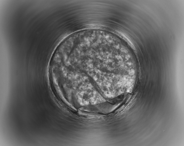 X0000093470899200711091605
