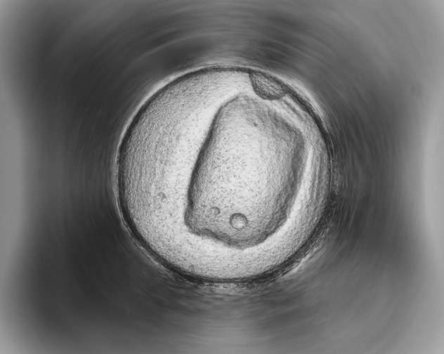 X0000093470903200711091605