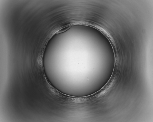 X0000093470905200711091605