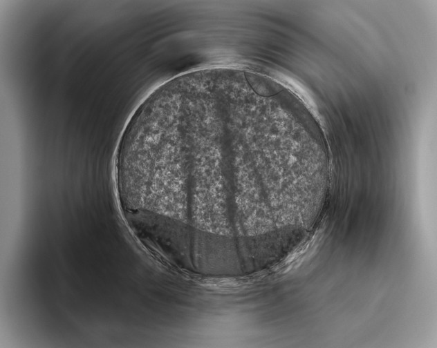 X0000093470907200711091605
