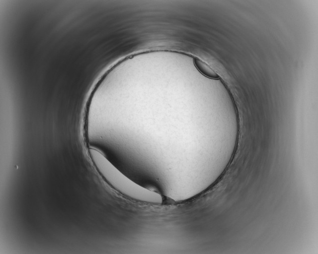 X0000093470912200711091605
