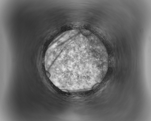 X0000093470913200711091605