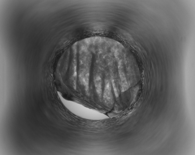 X0000093470916200711091605