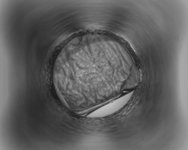 X0000093470919200711091605