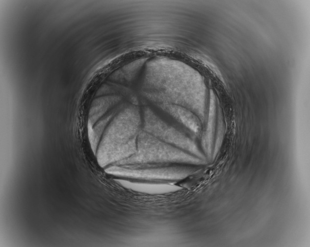 X0000093470920200711091605