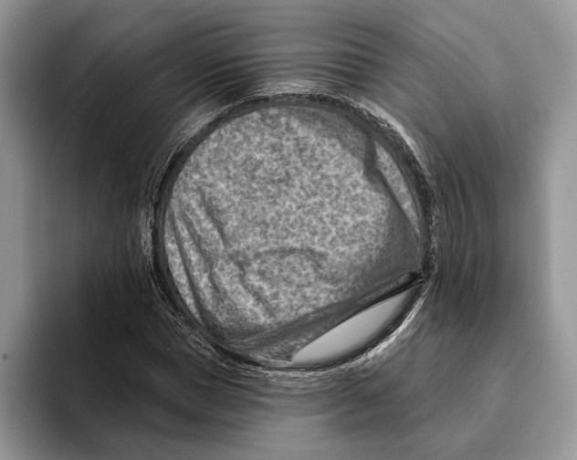 X0000093470921200711091605