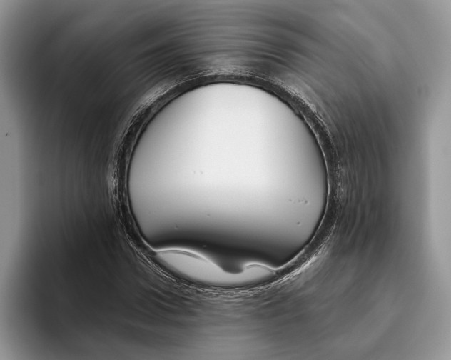 X0000093470922200711091605