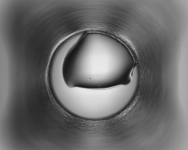 X0000093470928200711091605