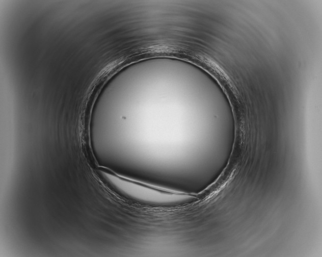 X0000093470930200711091605