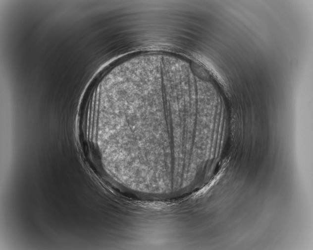 X0000093470932200711091605