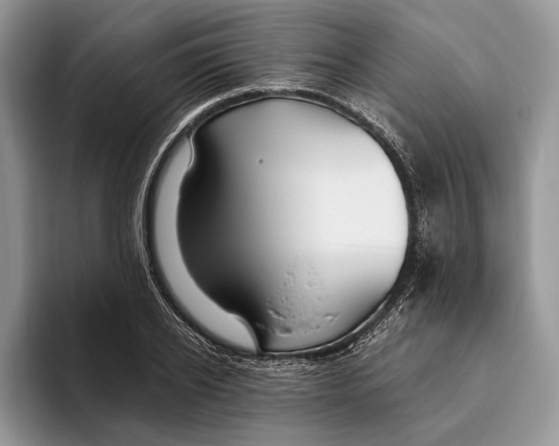 X0000093470934200711091605