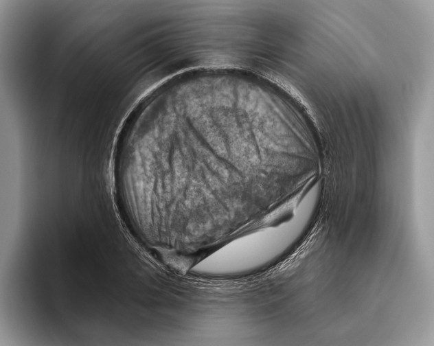 X0000093470935200711091605