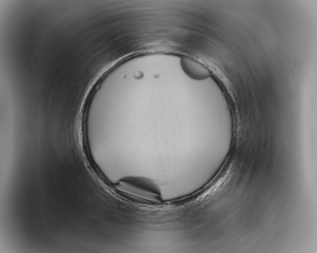 X0000093470941200711091605