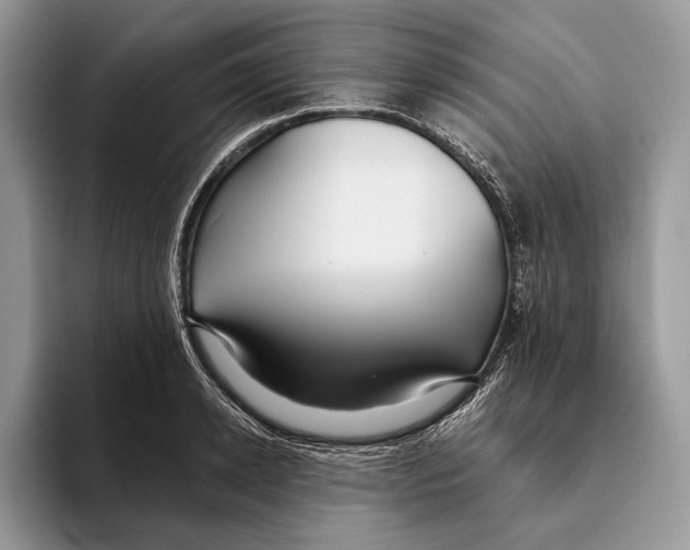 X0000093470942200711091605