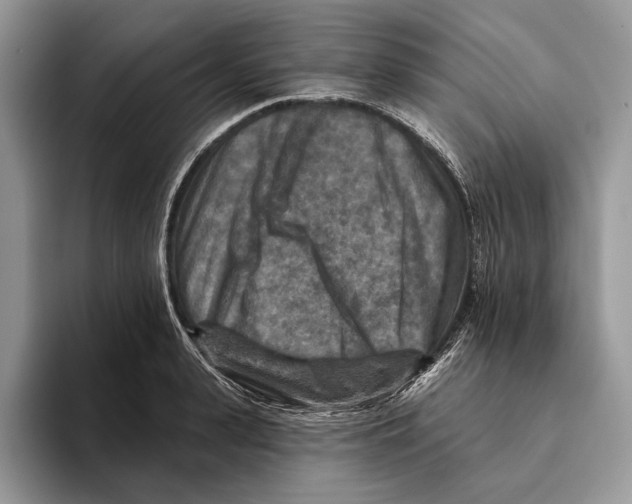 X0000093470943200711091605